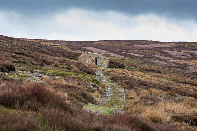 The track to Harry Hut