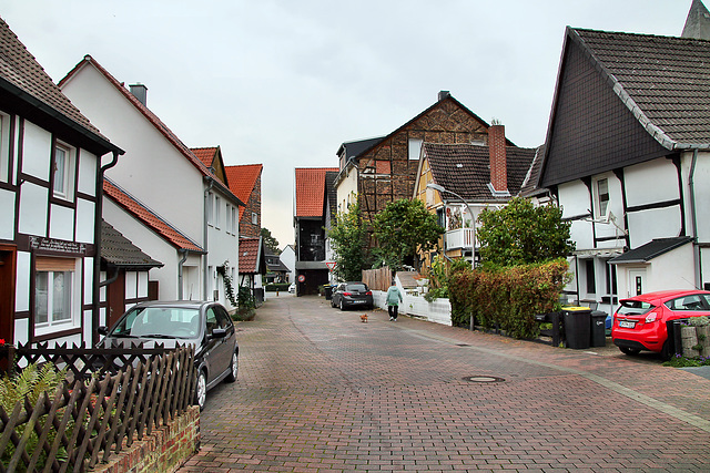 Witheborgstraße (Bönen) / 9.10.2023