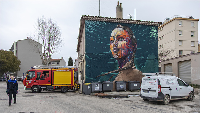 La femme aux tresses - Die Frau mit den Zöpfen - The braided woman