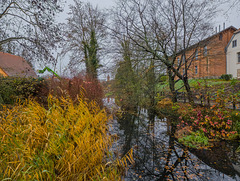 320-365, Lübz - Blick vom Mühlengraben