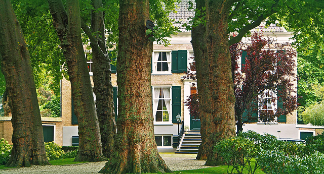 Mijnsherenland - The Netherlands