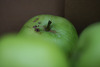 Three Green Apples