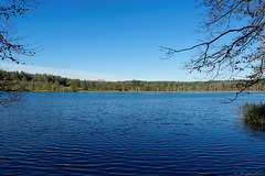 am Unteren Chatzensee (© Buelipix)