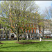 spring comes to Queen Square