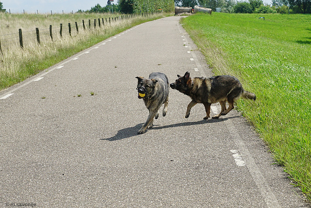 Zeelbergjes