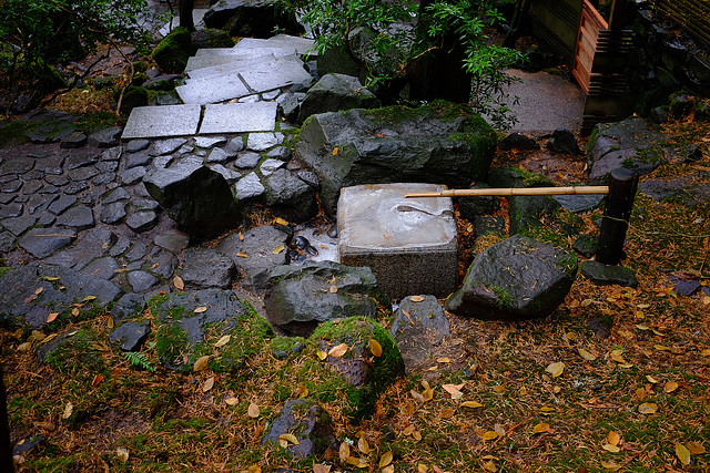 Winter Pool, Japanese Garden 2