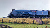 Sir Nigel Gresley