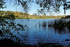 am Unteren Chatzensee (© Buelipix)
