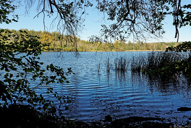 am Unteren Chatzensee (© Buelipix)