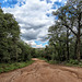 Carr Canyon Road