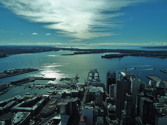 Auckland harbour