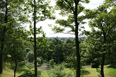 View Over Kilmarnock