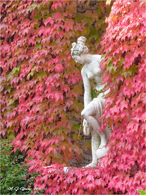 Autumn Nymph  05