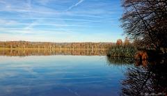 am Chatzensee (© Buelipix)