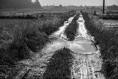 Muddy path