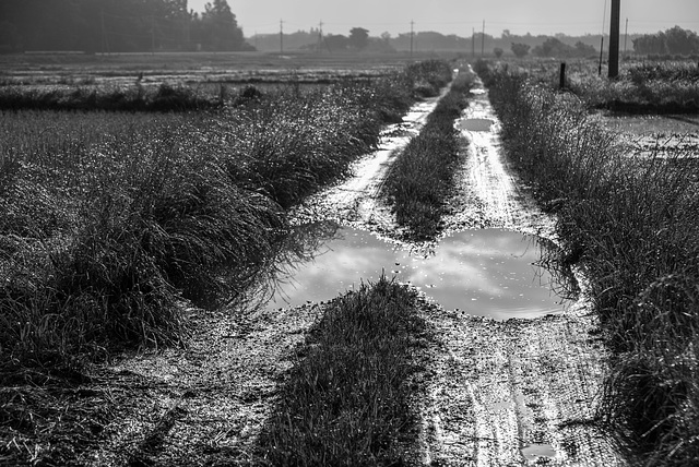 Muddy path