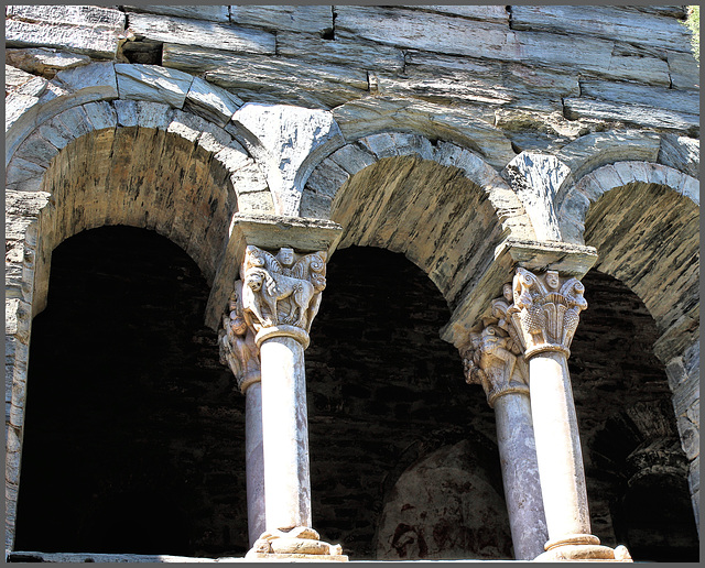 Prieuré de Serrabone (66) 17 mai 2015. Arcades du cloître.