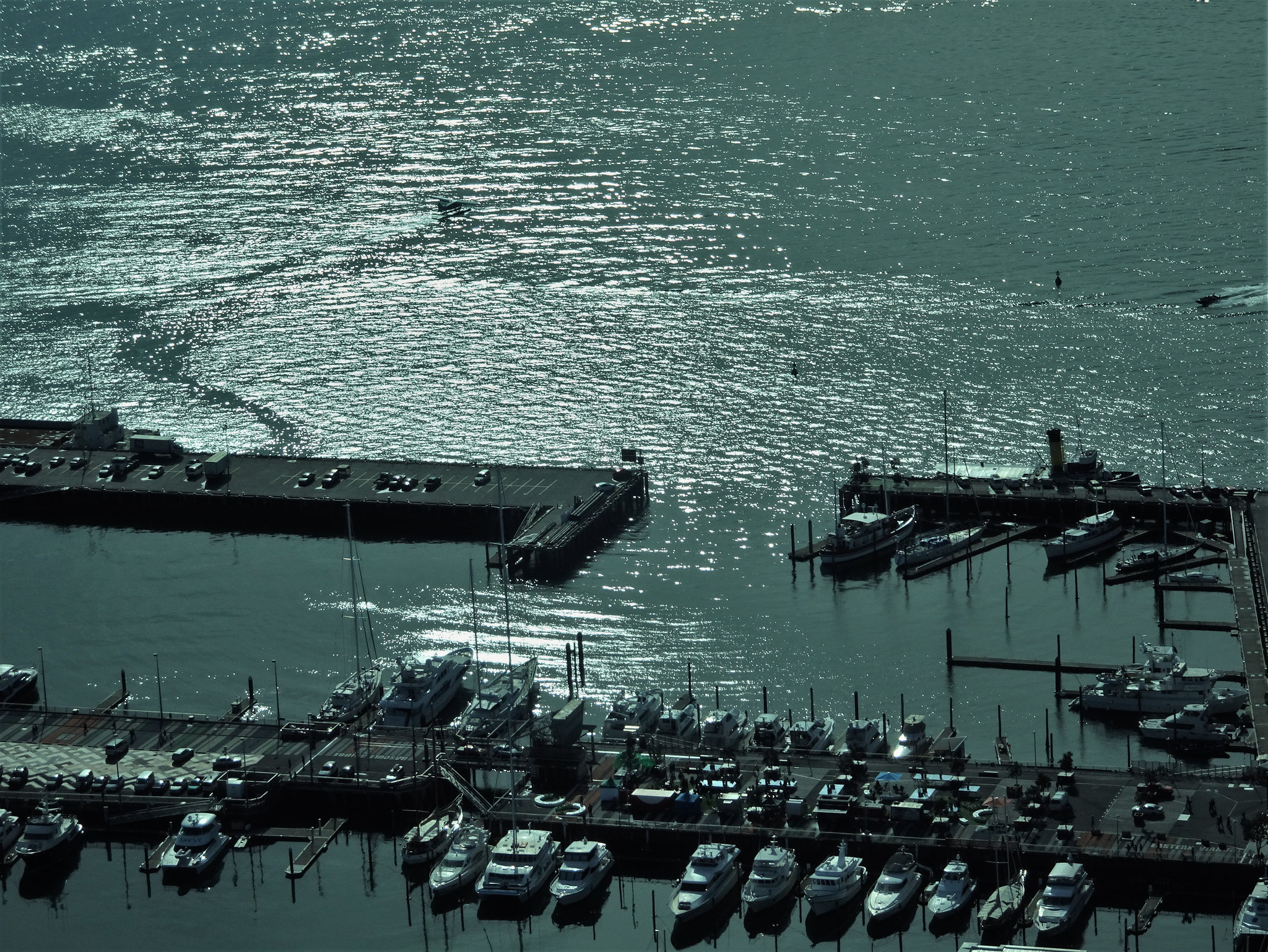 Auckland harbour, Viaduct Basin