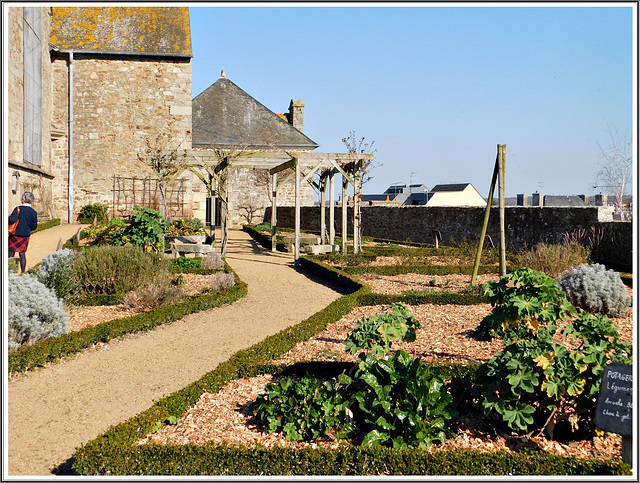 Jardin Médiéval à Lamballe (22)