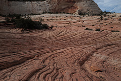 Zion Nat Park