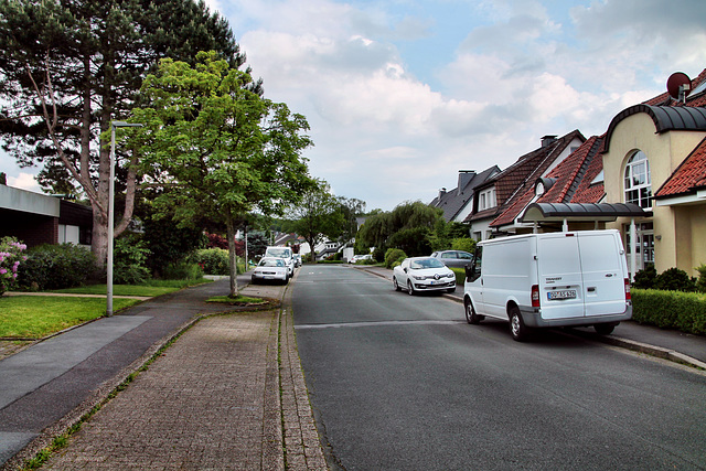 Kleiner Floraweg (Dortmund-Lücklemberg) / 18.05.2024