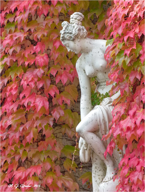 Autumn Nymph  06