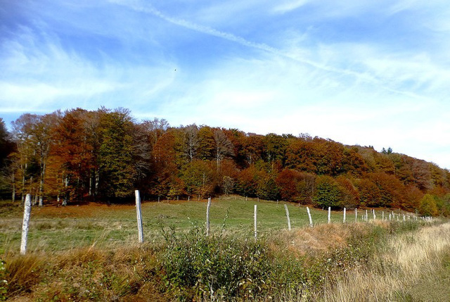 une belle journée d'automne