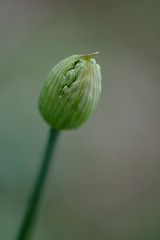 DSCF5620