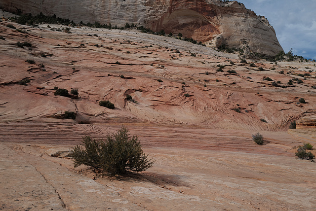 Zion Nat Park, L1010630