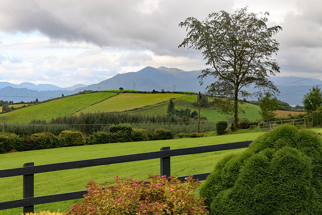 Green fields