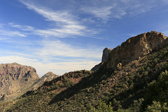 Laguna Meadow Trail