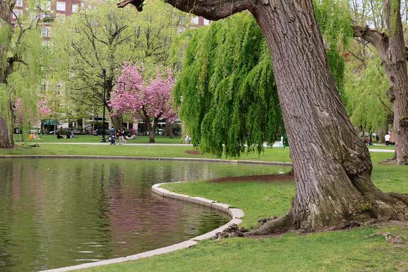 Boston Public Garden