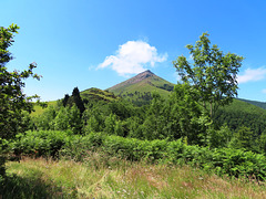 Zugarramurdi (Navarra), 7