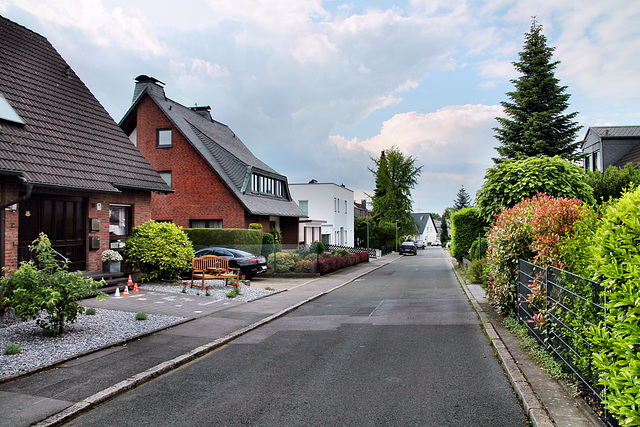 Floraweg (Dortmund-Lücklemberg) / 18.05.2024