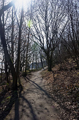 Eastham riverside path