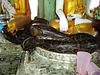 snake temple