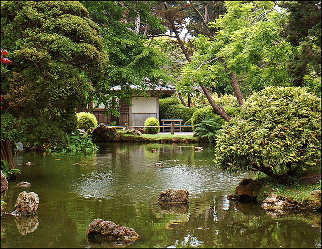 Japanese Tea garden