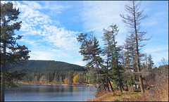 McLeese Lake, BC