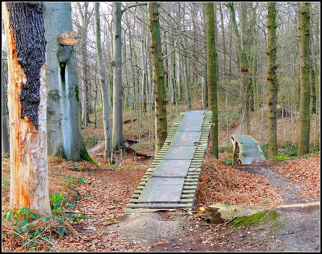 Bike Training circuit