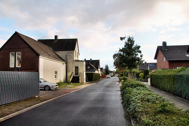 Büscherstraße (Bergkamen) / 17.09.2022