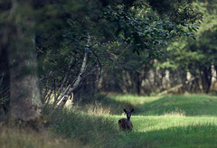 Brève rencontre