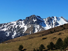 Isaba (Navarra), 15