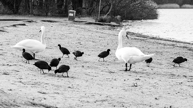 Strandleben im Februar