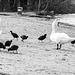 Strandleben im Februar