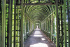 In the Garden of Paleis Het Loo, Apeldoorn