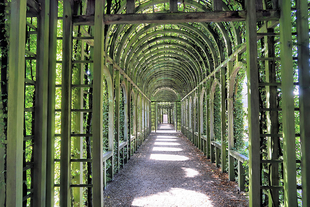 In the Garden of Paleis Het Loo, Apeldoorn