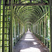 In the Garden of Paleis Het Loo, Apeldoorn