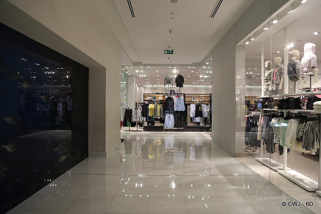 Dubai Mall