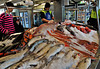 Auckland Fish Market 2