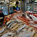 Auckland Fish Market 2